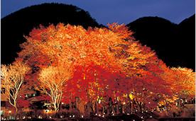 河口湖・紅葉まつり