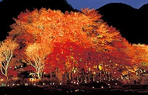 河口湖・紅葉まつり