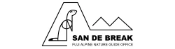 SAN DE BREAK
